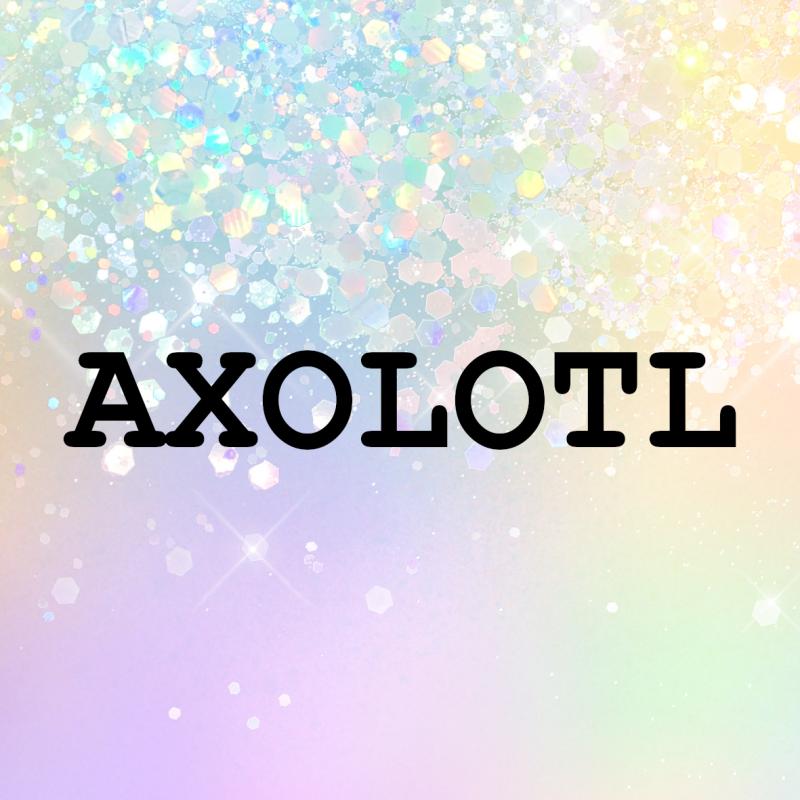 Challenge Paket "AXOLOTL"